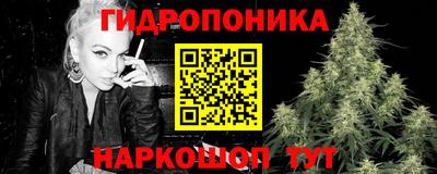 СК Вышний Волочёк