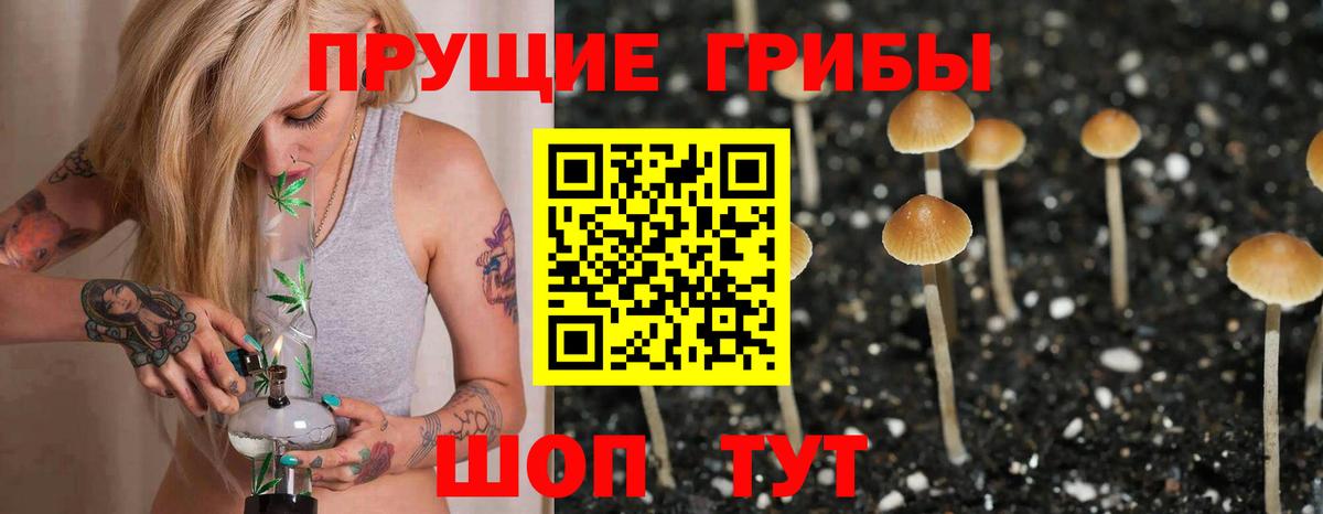 Новодвинск  Псилоцибиновые грибы мицелий  Вход с VPN 