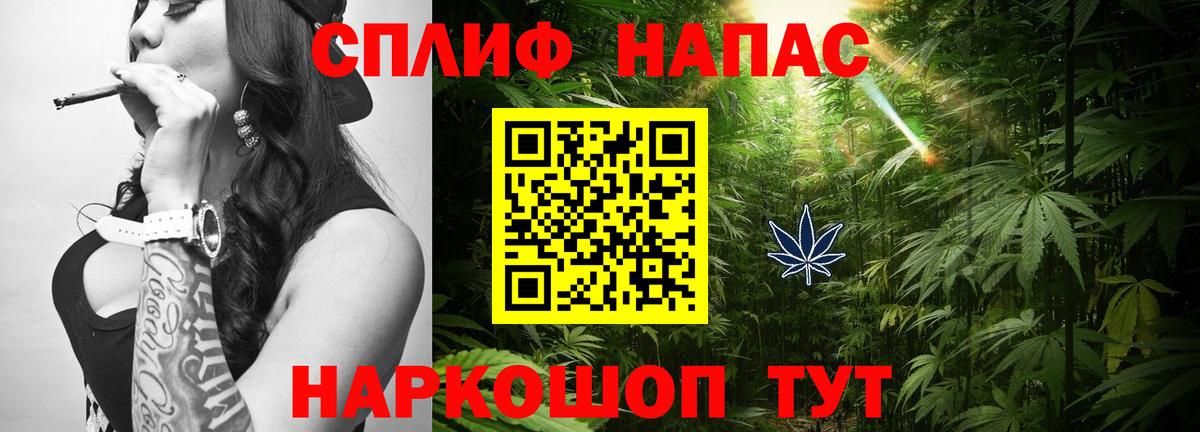 Каннабис план Новодвинск